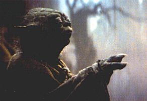 yoda.jpg